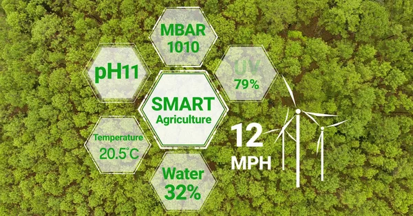 Smart digital agriculture technology by futuristic sensor data collection management by artificial intelligence to control quality of crop growth and harvest. Computer aided plantation grow concept.