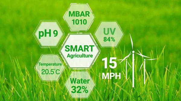 Intelligens Digitális Mezőgazdasági Technológia Futurisztikus Szenzoradatgyűjtéssel Mesterséges Intelligencia Segítségével Növénytermesztés — Stock Fotó