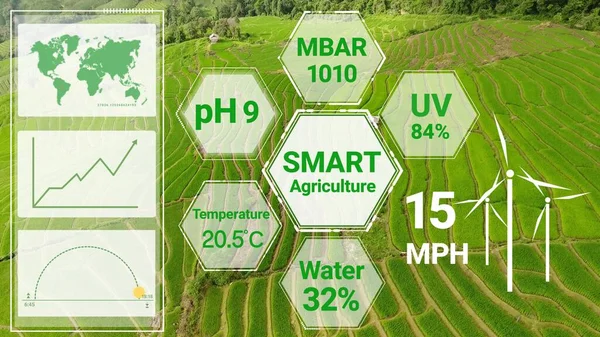 Tecnología Inteligente Agricultura Digital Mediante Gestión Futurista Recolección Datos Sensores —  Fotos de Stock