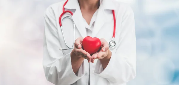 Médico Segurar Coração Vermelho Escritório Hospital Conceito Serviço Médico Pessoal — Fotografia de Stock