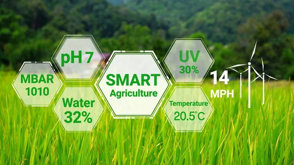 Tecnología Inteligente Agricultura Digital Mediante Gestión Futurista Recolección Datos Sensores —  Fotos de Stock