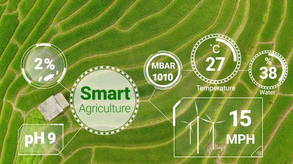 Tecnología Inteligente Agricultura Digital Mediante Gestión Futurista Recolección Datos Sensores —  Fotos de Stock