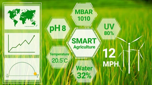 Tecnología Inteligente Agricultura Digital Mediante Gestión Futurista Recolección Datos Sensores —  Fotos de Stock