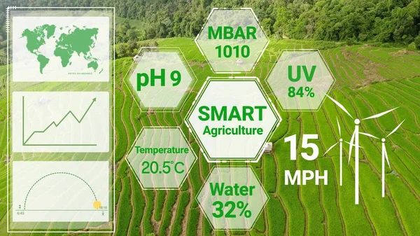 Smart Digital Jordbruksteknik Genom Futuristisk Sensordatahantering Genom Artificiell Intelligens För — Stockfoto