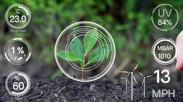 Tecnologia Agricultura Digital Inteligente Por Gerenciamento Coleta Dados Sensores Futuristas — Fotografia de Stock