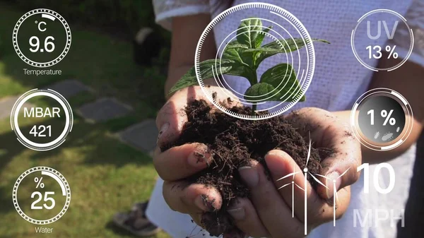 Smart Digital Agriculture Technology Futuristic Sensor Data Collection Management Artificial — Stock Photo, Image